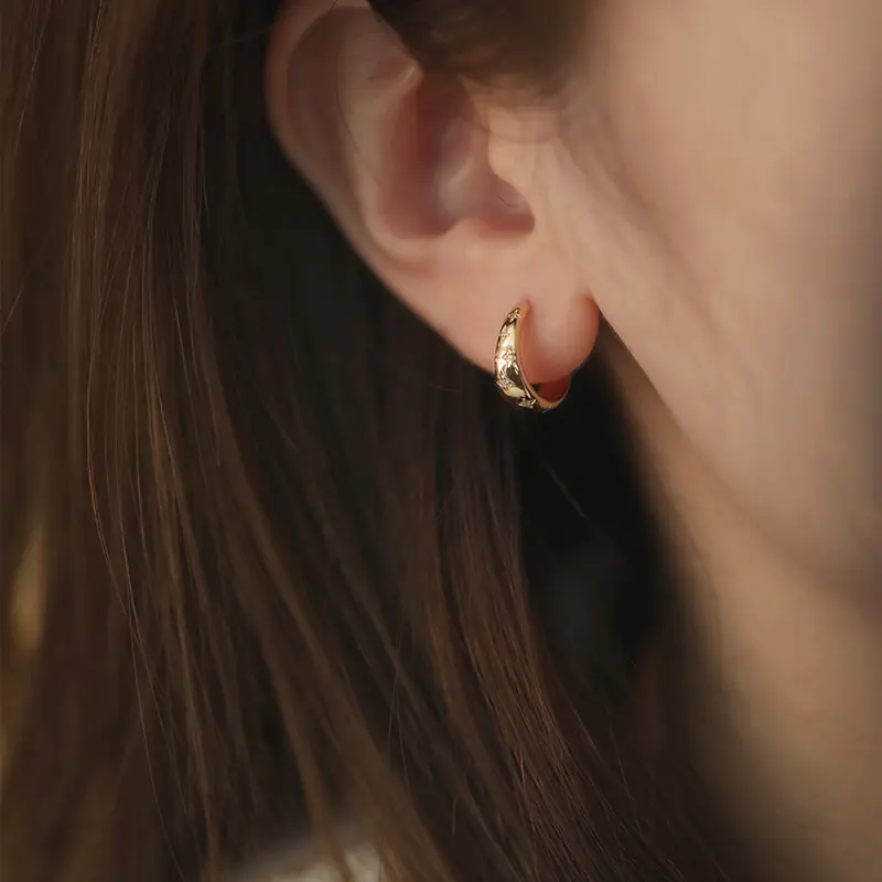 Starry Sky Earrings DDES0559 Simple and Versatile Zirconia Earrings 14K Gold-Plated