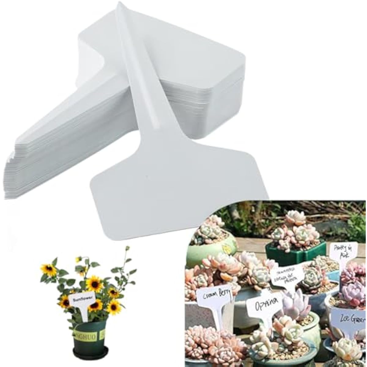 T-Type Plant Labels, 200pcs Plastic Plant Name Tags Waterproof T-Shape Tag Garden Labels Markers for Garden Vegetable Flowers Planting T-Type Plant Labels, 200pcs Plastic Plant Name Tags Waterproof T-Shape Tag Garden Labels Markers for Garden Vegetable Flowers Planting