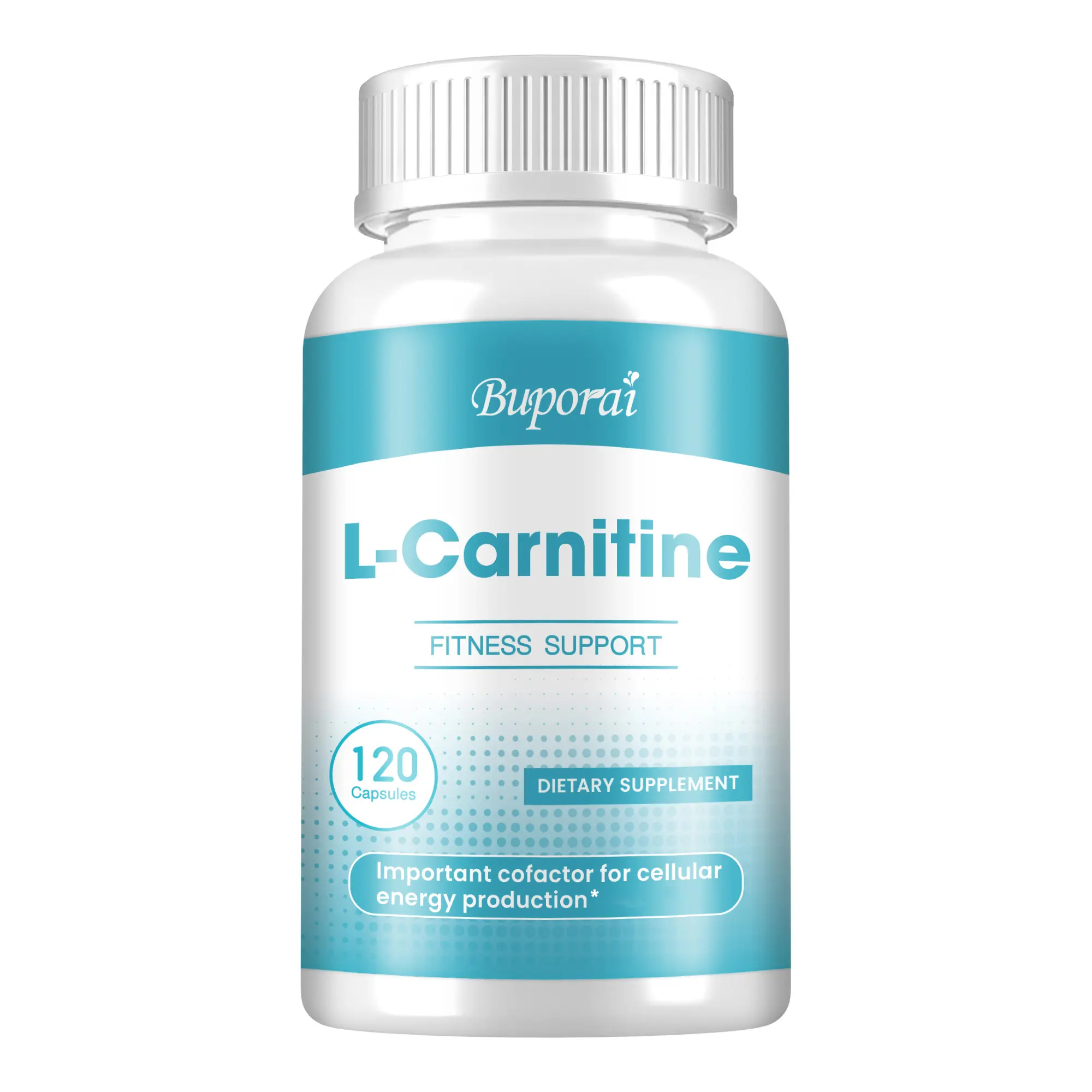 l carnitine chemist warehouse
