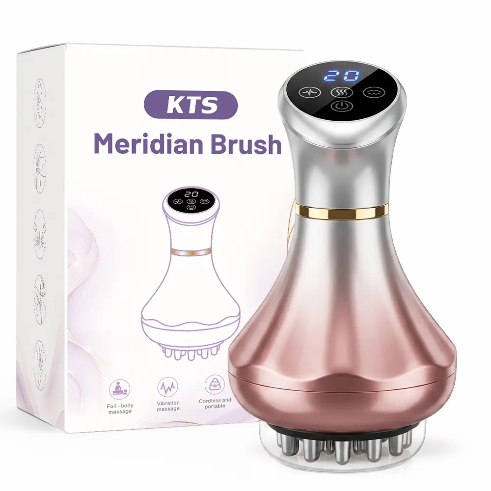 Rechargeable Handheld Body Massager, Meridian Brush with Red Light Warming Mode, Vibration and Microcurrent Contact Points for Home Use