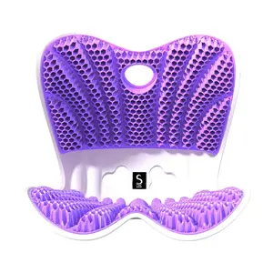 Ergonomic Lumbar Support Cushion for Office & Car