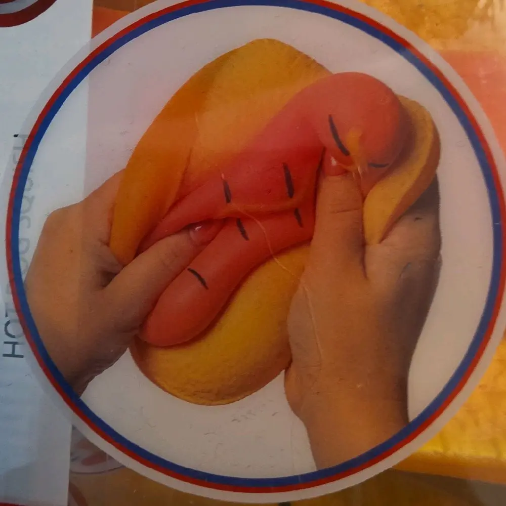 jumbo hotdog squishy