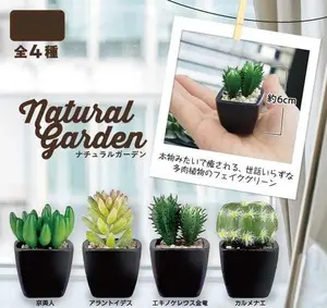 Artificial Succulent Cactus Figurines - Decor Ornaments for Nature-Inspired Room Decor Collectibles