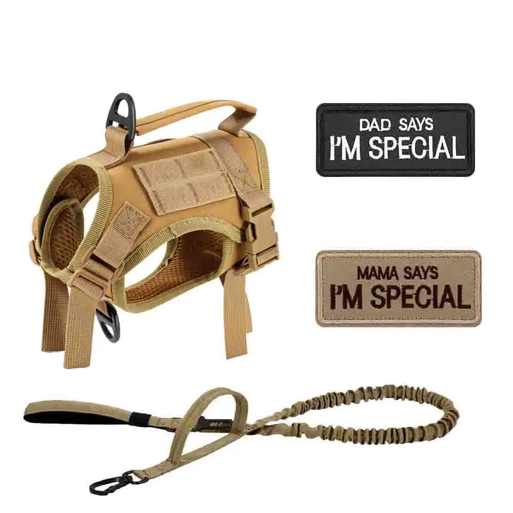 Brown Harness and Leash set