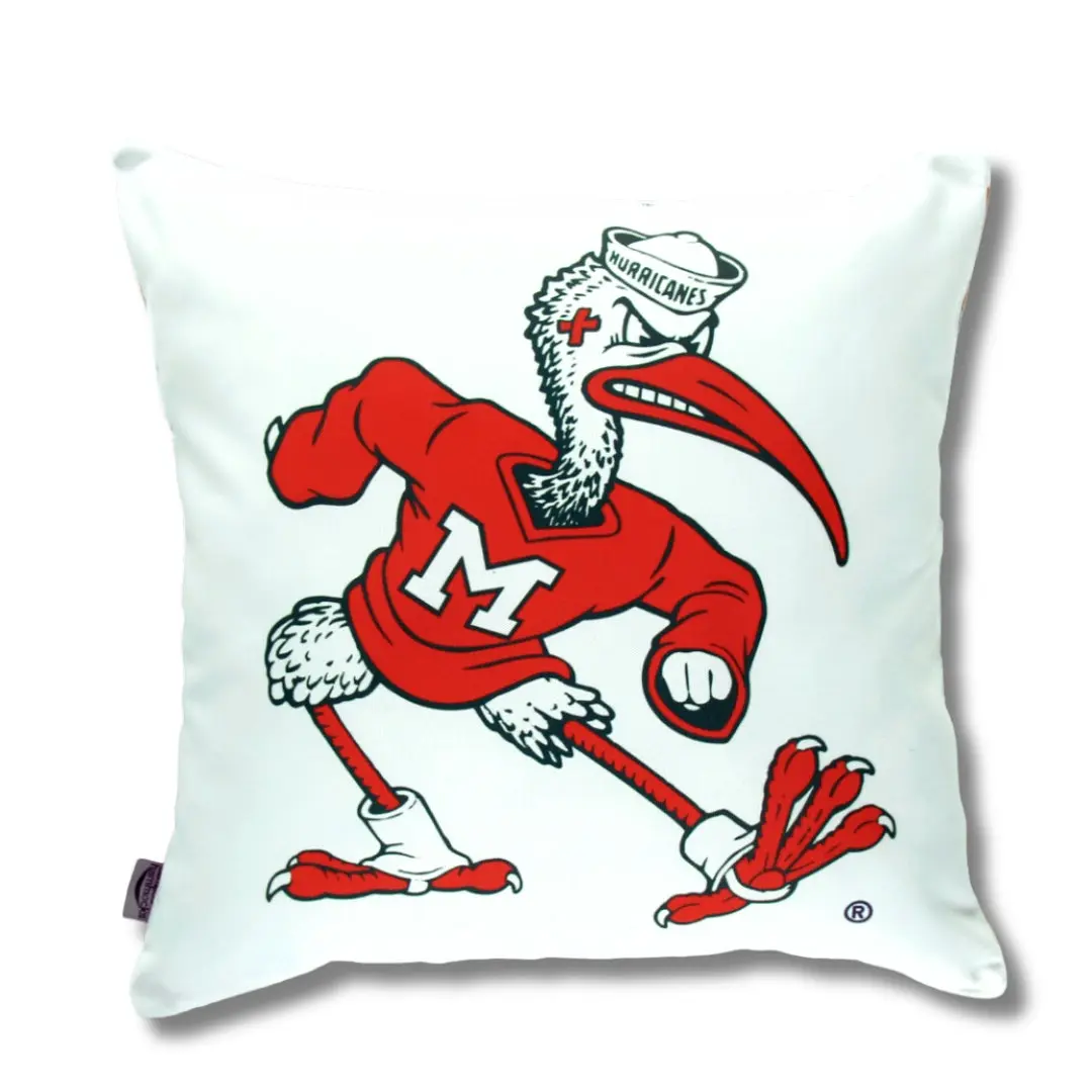 University of Miami Hurricanes Throw Pillow Cover, 22x22 inches Canes Pillow Cover, Miami Hurricanes Sebastian The Ibis Sham