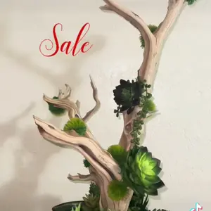 Lindo búcaro para tu hogar