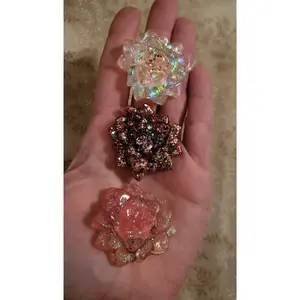 Pink Succulent Magnet Set