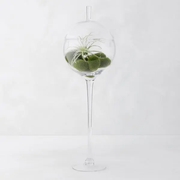 Transparent-Large-24''H