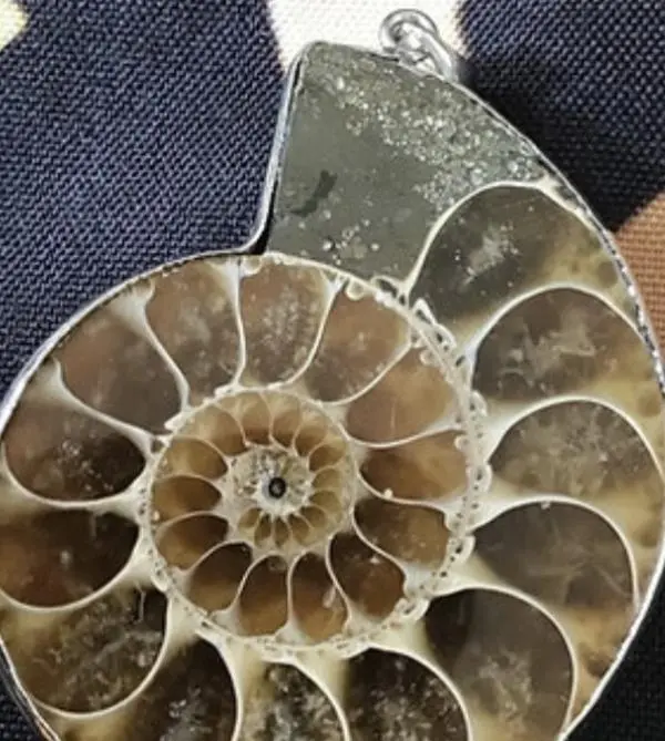 Ammonite Pendant
