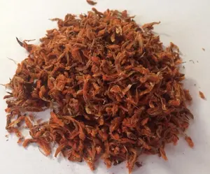 1 oz. Klip Dagga Flower Petals (Leonotis nepetifolia) Wildharvested Peru