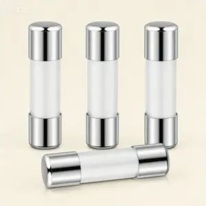 Fast Blow Glass Ceramic Fuse Kit, 4 Pieces 5x20 mm 0.2 A 600 VAC Replacement Fuses, for Multimeters and LED String Lights, High Voltage Protection, Durable and Safe Electrical Components