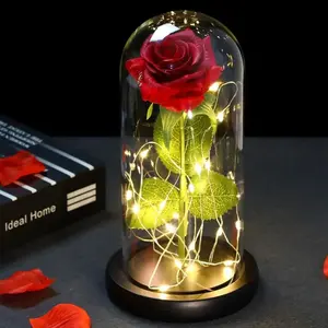Mother's Day Gift Beauty and the Beast Crystal Dome Eternal Flower, LED Light Artificial Flowers for Valentine's Day