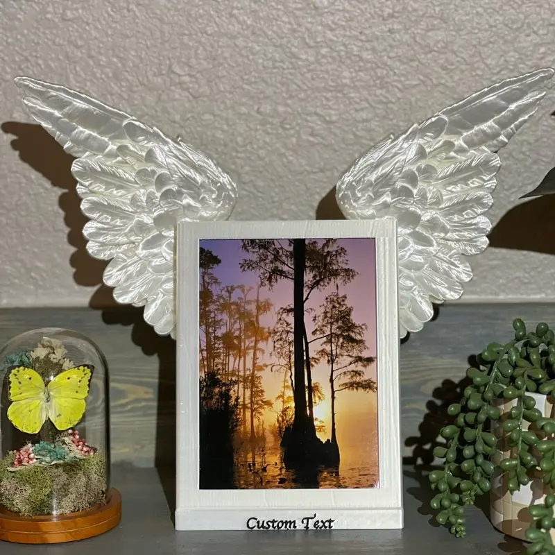 Angel Wing Photo Display Angel Wing Photo Display