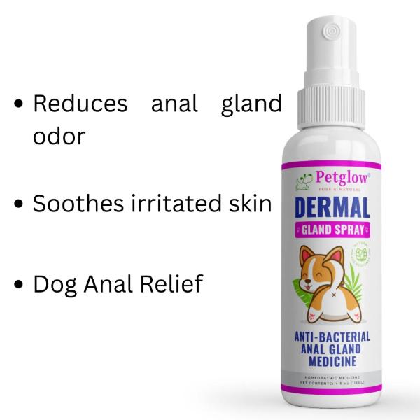 Petglow Dog Anal Gland Infection Treatment - Hygiene Spray, 4 fl oz