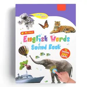 English Words Sound Book -Total 300+Words, 13 Themes, Interactive Audio Sound Books for Toddlers, Autism Sensory Games, Early Educational Gifts,Birthday Gift for Toddlers Kids Age 3 4 5