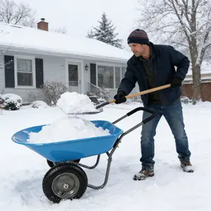 Steel TRAY wheel barrow Two wheeled trolley for green garden 15 inch pneumatic wheel