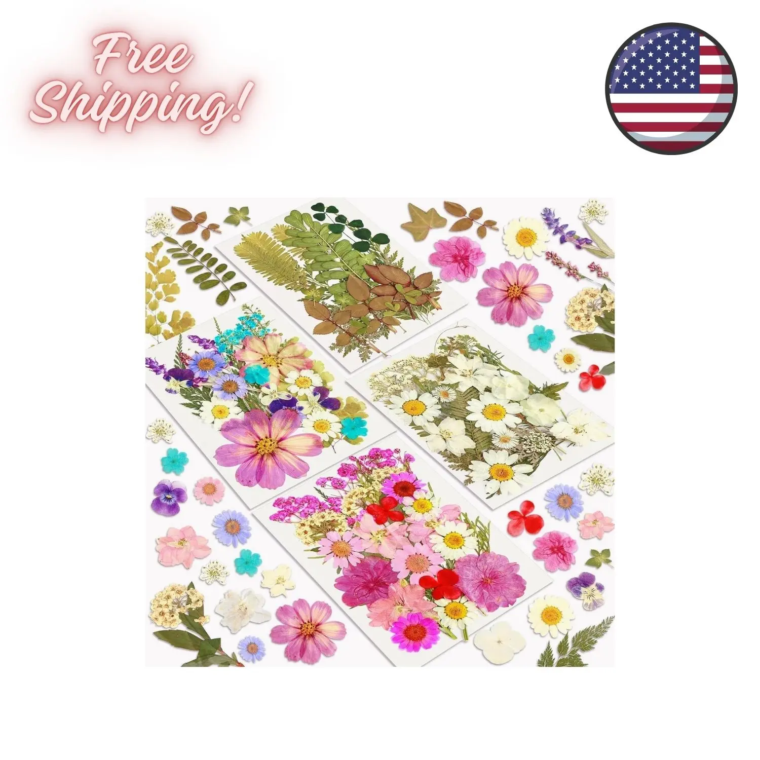Dried Flowers, 100Pcs Pressed Resin Flowers