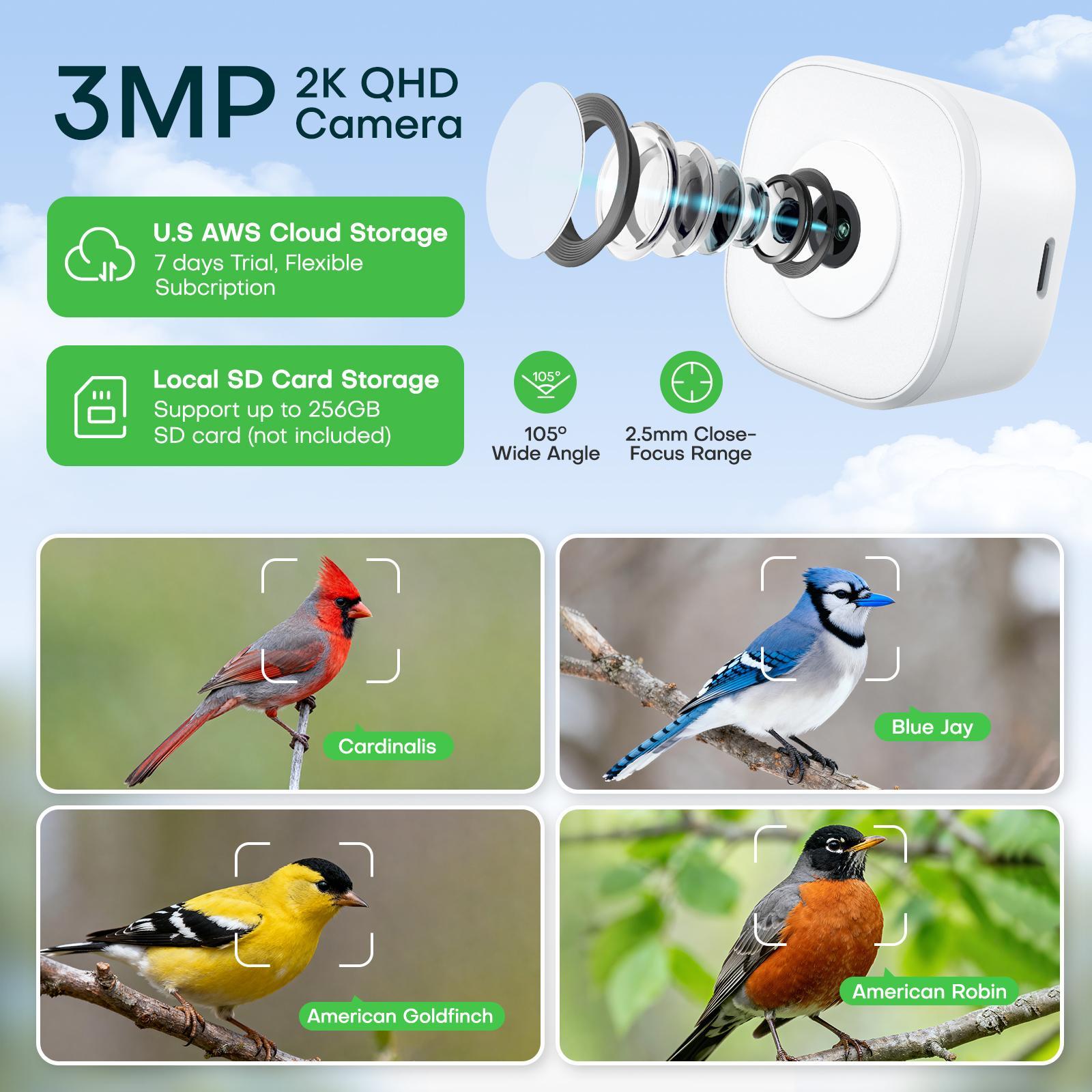 HomiQ Ai Smart Window Bird Feeder with 2K AI Camera – Auto Bird Species Recognition & Instant Alerts, Strong Acrylic, Starlight Night Vision, Anti-Glare, 5GHz WiFi, 24/7 Recording – Great Gift for Kids & Bird Lovers