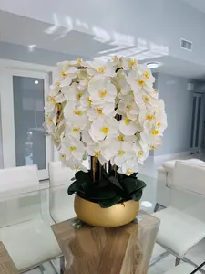WHITE ORCHIDS IN GOLD VASE