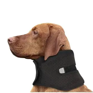 Dog Neck Support Collar with Built-In Stabilizer – Post-Injury & Post-Surgery Neck Protection