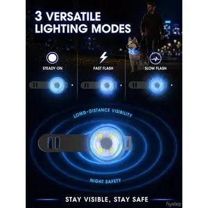 LED Dog Safety Light - Clip-On Flashing Pet Accessory for Night Walking, Collar-Ready Anti-Lost Tool for Dogs Adjustable Stainless Steel Martingale