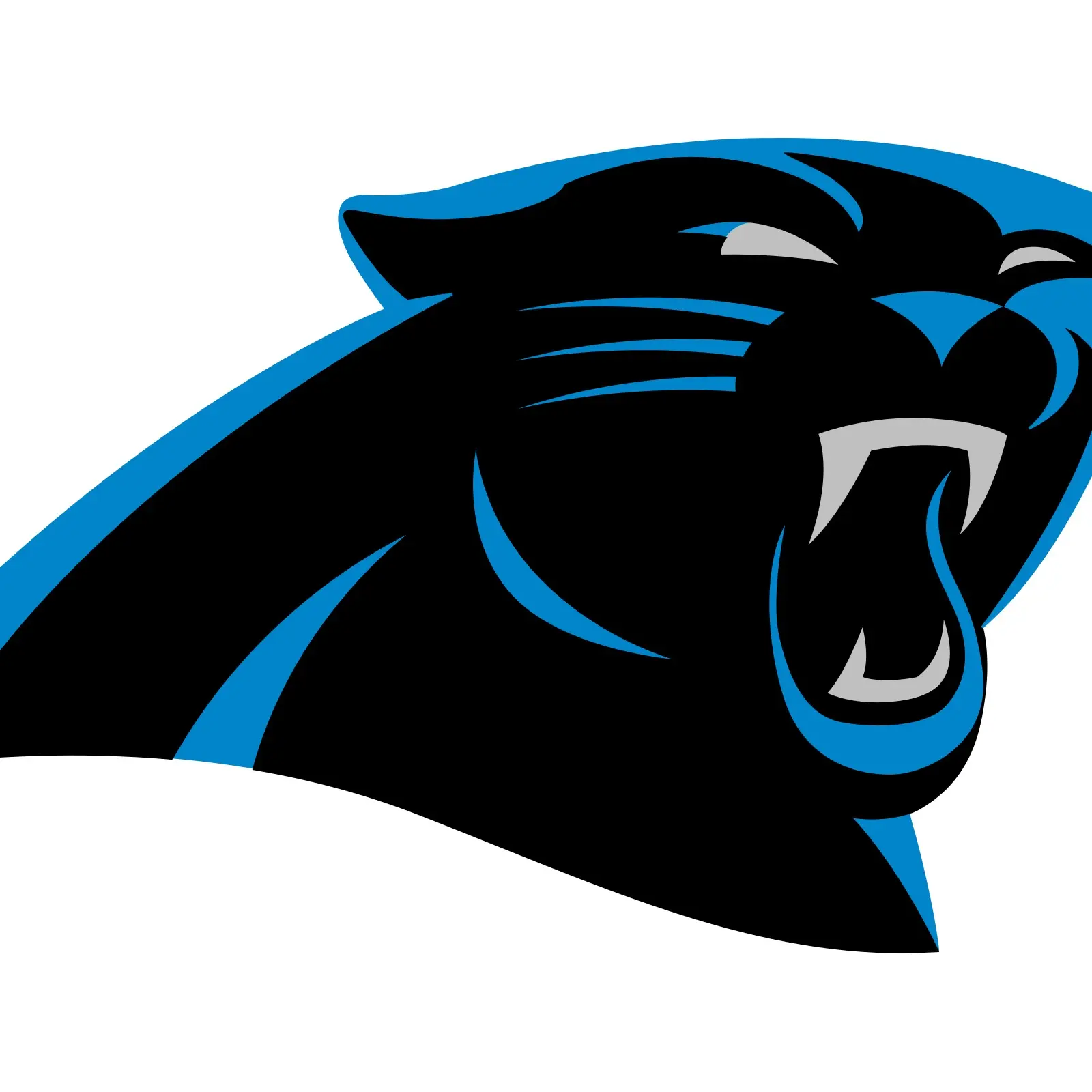 PANTHERS