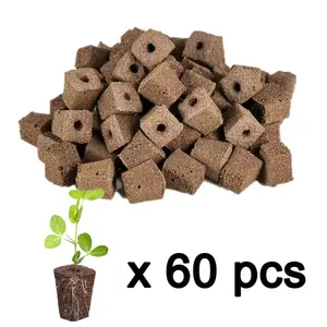 60/100 Growth Sponges, Seed Pod Replacement Root Sponge, Compatible with Most Hydroponic Systems, Indoor Garden Starter Kit