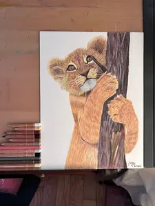 Lion Cub | Original Colored Pencil Drawing