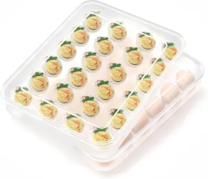 Deviled Egg Containers with Lid, (Set of 2), Plastic Egg Platter for 48 Devil Eggs, Clear Storage Deviled Egg Carrier, Fridge Stackable Countertop Portable Egg Tray