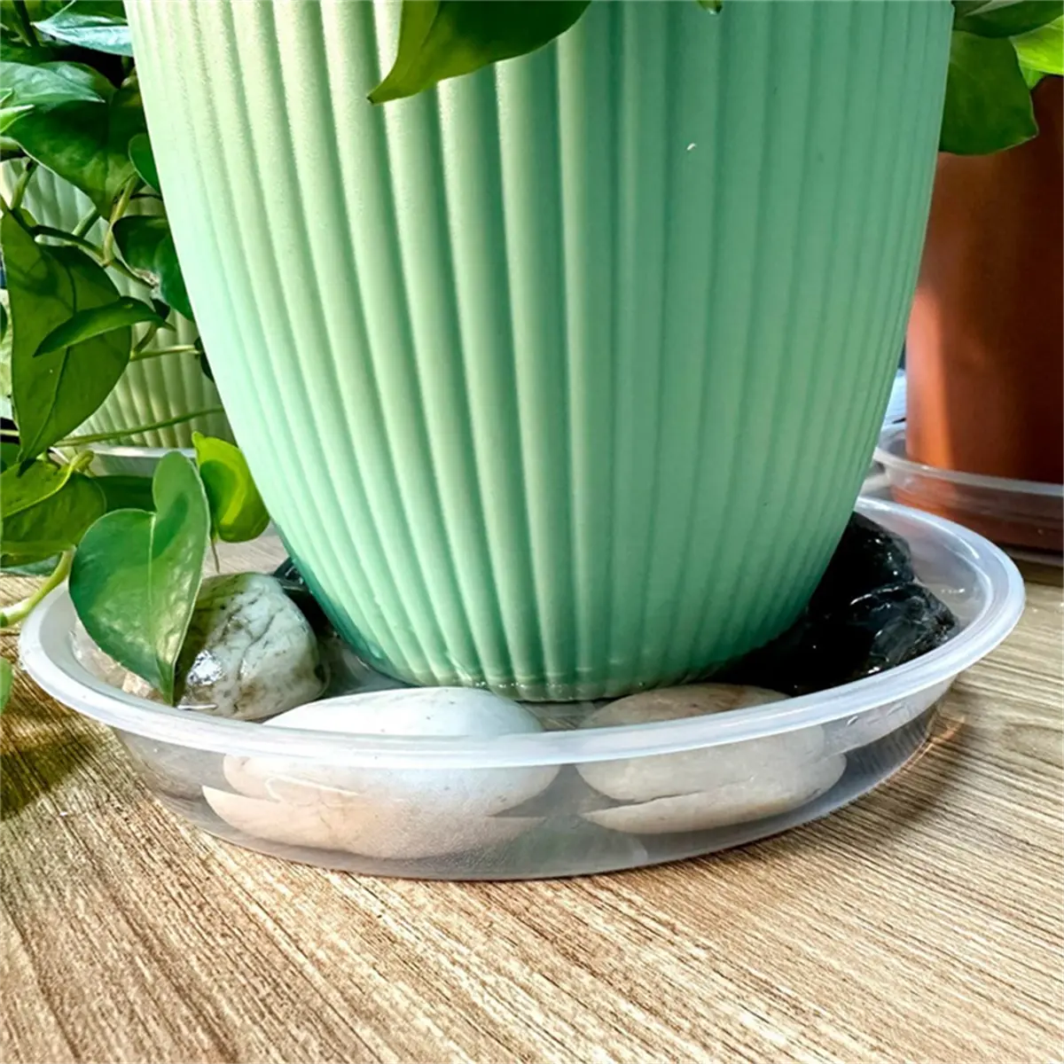 4Pack Clear Plant Saucer 10Inch Plastic Plant Saucers Thicker Plant Tray Flower  Pot for Indoor Outdoor Garden - TikTok Shop