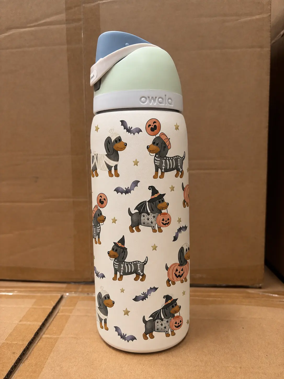 Halloween Owala Water Bottle 24oz 32oz, Cute Dachshund Dog Pumpkin Bat Witch Print, Spooky Dog Lover Design