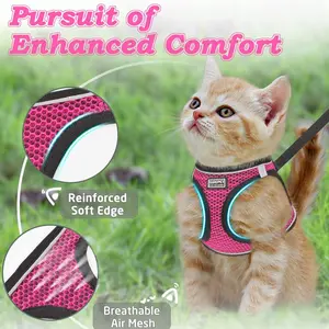 Cat Harness and Leash Set, No Tangle Leash, Breathable Mesh Design, Reflective Function, All-Weather Use, Suitable for Cats and Small to Medium Dogs