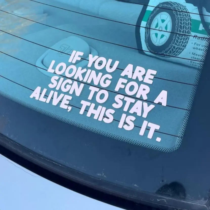 Car Sticker, Bumper Sticker, Funny Reflective Car Vinyl Decal Sticker, Personalized Decal for Car/Truck/Room/Cup Decor, Car Decals, Windshield Sticker