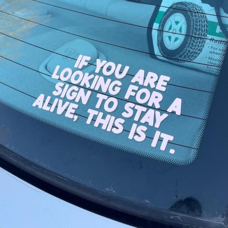Car Sticker, Bumper Sticker, Funny Reflective Car Vinyl Decal Sticker ...