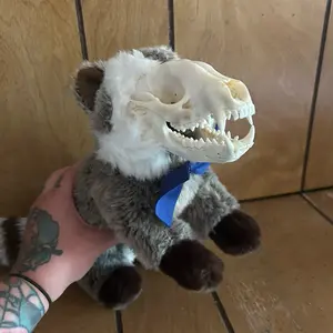 Ethically Sourced Raccoon Skull Stuffed Plushie