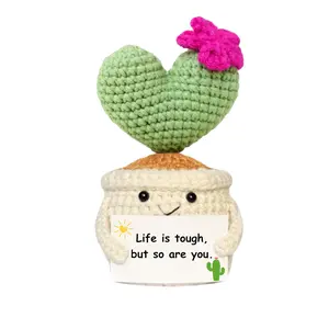 Get Well Gifts for Women,  Crochet Cactus - Plush   with Encouragement Card for Desk Decor,  or Office Decoration
