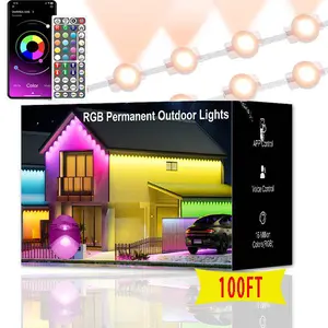 100FT outdoor light, RGB eaves light, with remote control and APP control, multiple lengths available, music control, suitable for Christmas, family gatherings, and home decoration.