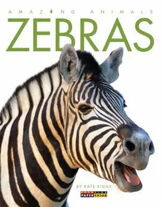 USED-Zebras by Riggs, Kate (Paperback)