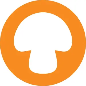 Four Sigmatic shop logo