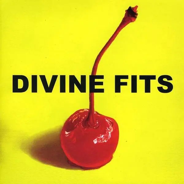 Divine Fits Band Debut Album Release - A Thing Called Divine Fits CD, Featuring The Salton Sea, Baby Get Worse, Civilian Stripes [Compact Disc], 11 Songs