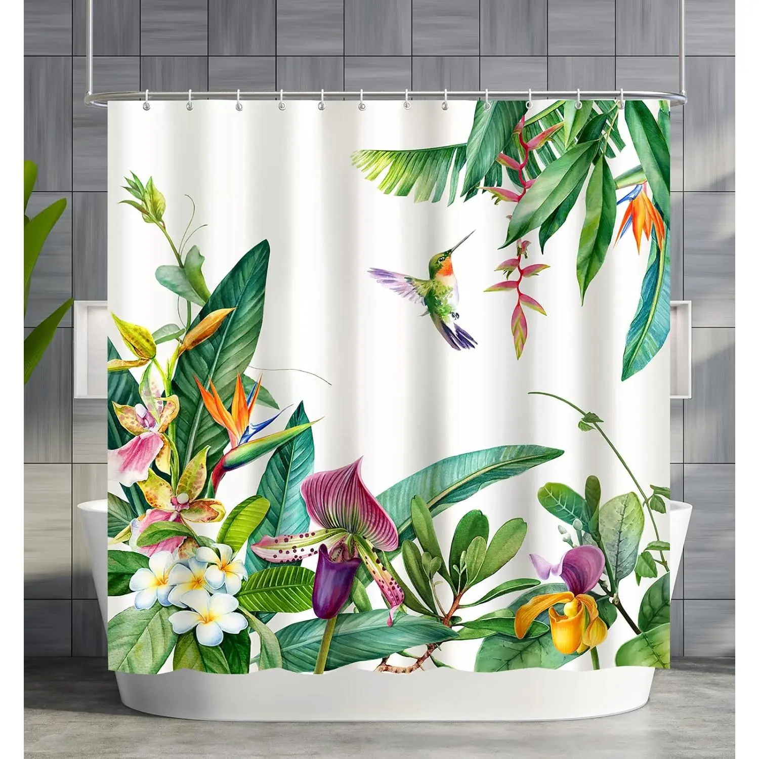 Greenery Hummingbird