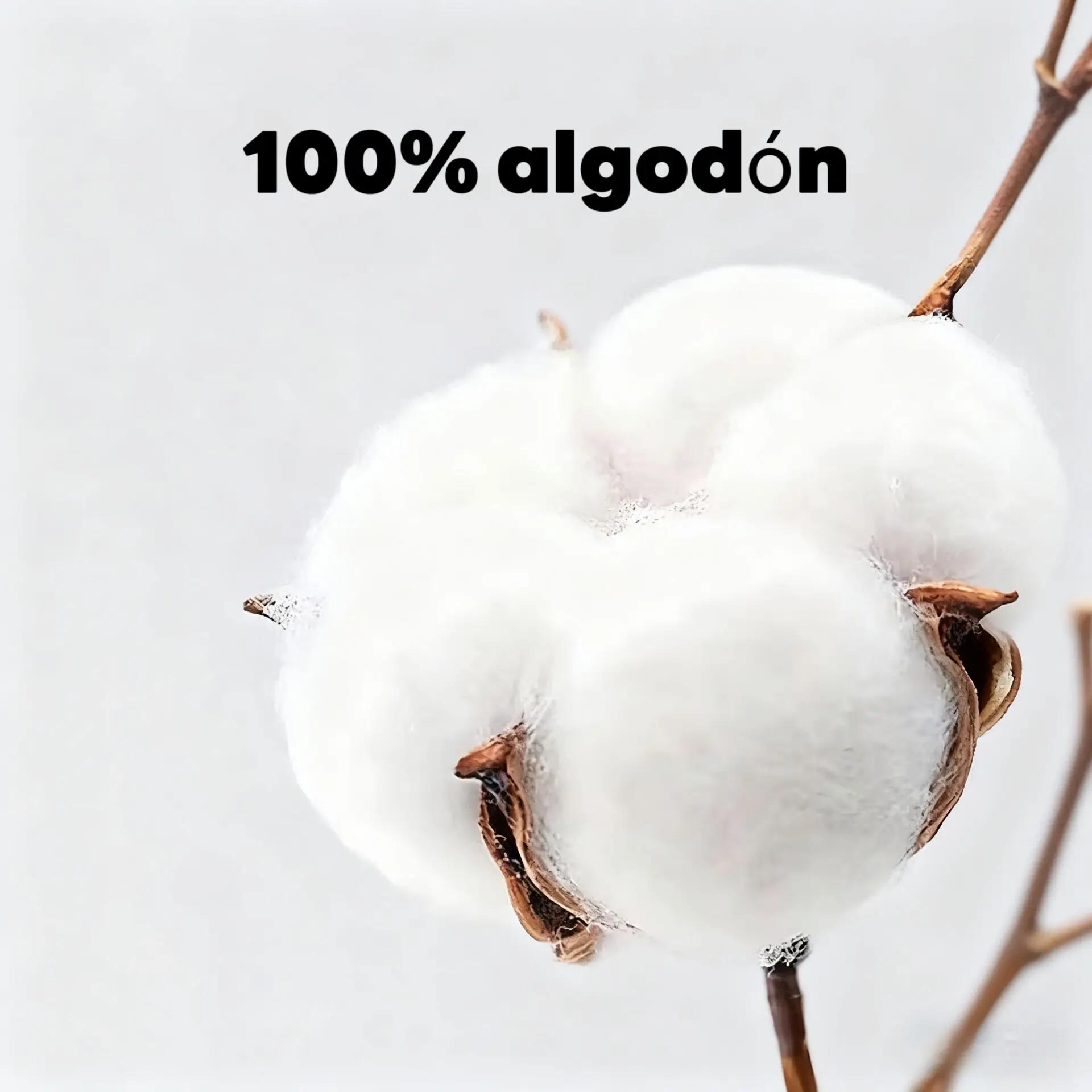 Eclipse Born To Ride Motorcycle Graphic Tee | Biker Skull Vintage T-Shirt | Gift For Motorcycle Enthusiasts Men Women