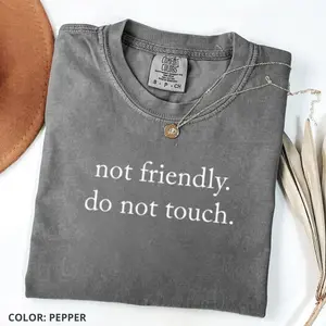 Comfort Colors Not Friendly Do Not Touch T-Shirt, Sarcastic Quote Tee, Funny Adult Humor Graphic T-shirt, Trendy Quote Gift Idea