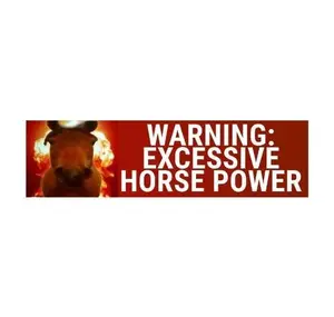 WARNING: Excessive Horsepower Bumper Sticker or Magnet | Weatherproof Vinyl