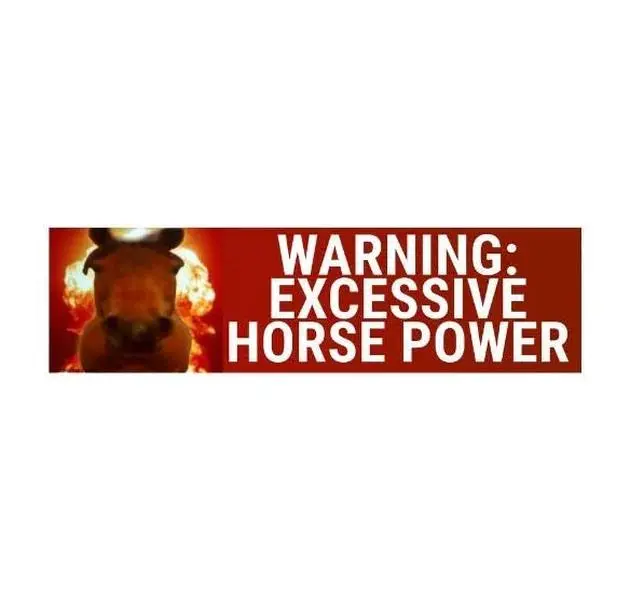 Warning Excessive Horsepower Meme Bumper Sticker - Weatherproof Vinyl, Car Magnet Option, Playful Funny Decals, Durable Magnets & Decals, Auto Enthusiasts’ Vehicle Exterior Decoration, Funny Car Decals