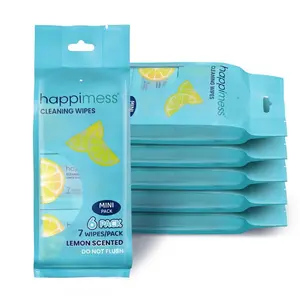 Compact Travel All-Purpose Multi Surface Heavy Duty Wipes, Bleach Free, Extra Strong, Super Moist, Tough on Messes
