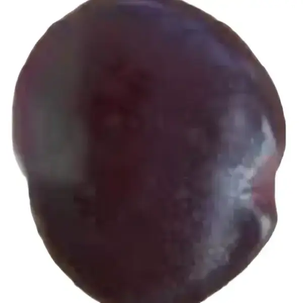 ANNIKÒN BEADS