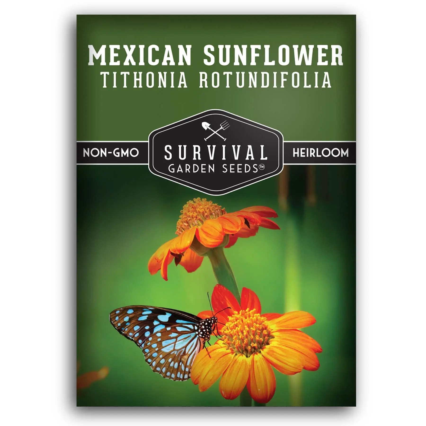 Mexican Sunflower Seeds - Drought tolerant wildflower seeds