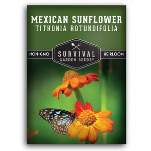 Mexican Sunflower Seeds - Drought tolerant wildflower seeds
