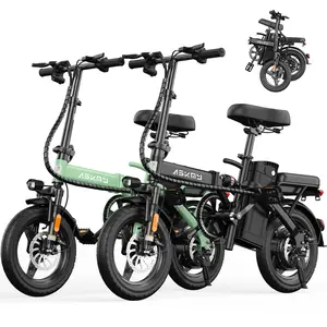 City Folding Electric Bike | 1000W Peak Motor | 48V 20Ah Battery | Up to 45 Miles Range | 14-Inch Tubeless Tires | Front & Rear Dual Disc Brakes | UL Certified Removable Battery | Lightweight Compact Design for Urban Riding